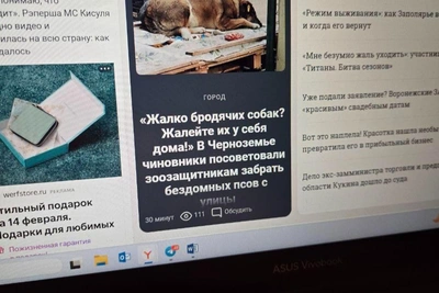 Voronezh News: Sambo Death, Skating Win, Soap Controversy