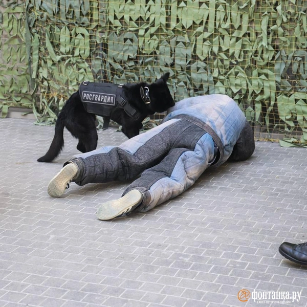Источник: Валентин Егоршин / «Фонтанка.ру»