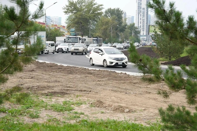 Новое решение должно помочь бороться с аварийностью и пробками | Источник: Верещагин Сергей / Telegram