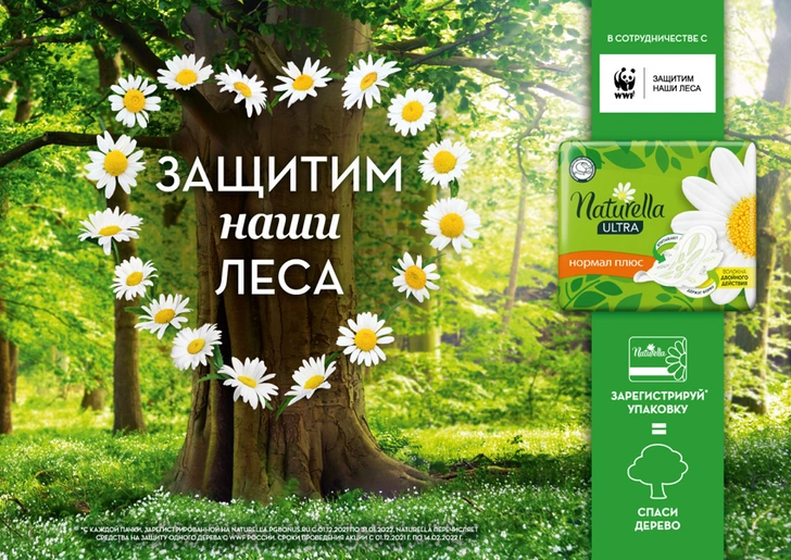 Naturella и WWF России запускают новую волну кампании по защите лесов