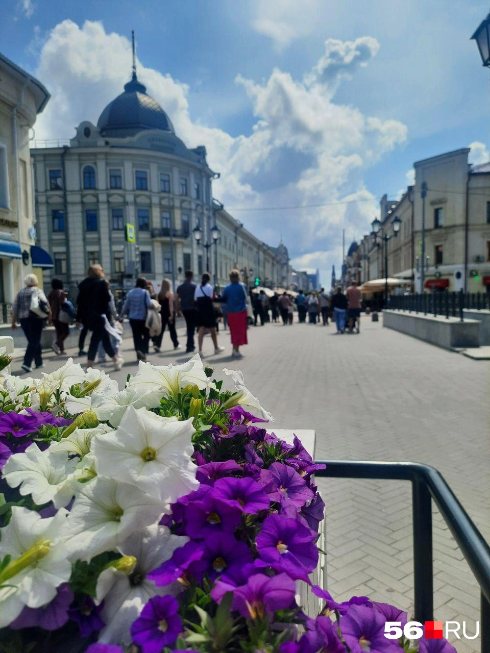 Петунии на улице Баумана | Источник: Анастасия Баринова / 56.RU