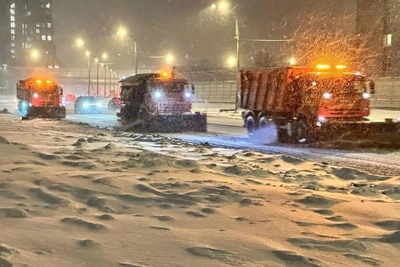 Февральская метель намела в Петербурге 4,5 см снега