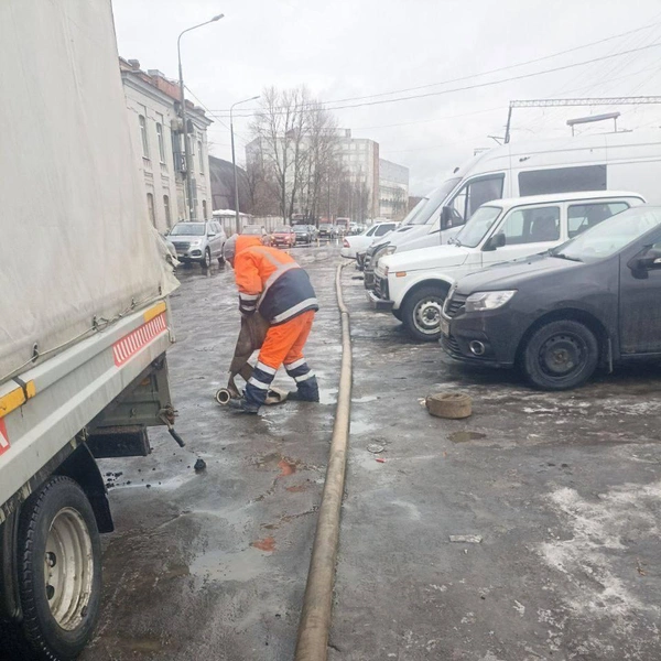 Источник: Комитет по благоустройству СПб