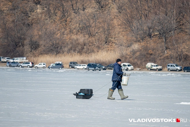 Источник: Елена Буйвол / VLADIVOSTOK1.RU