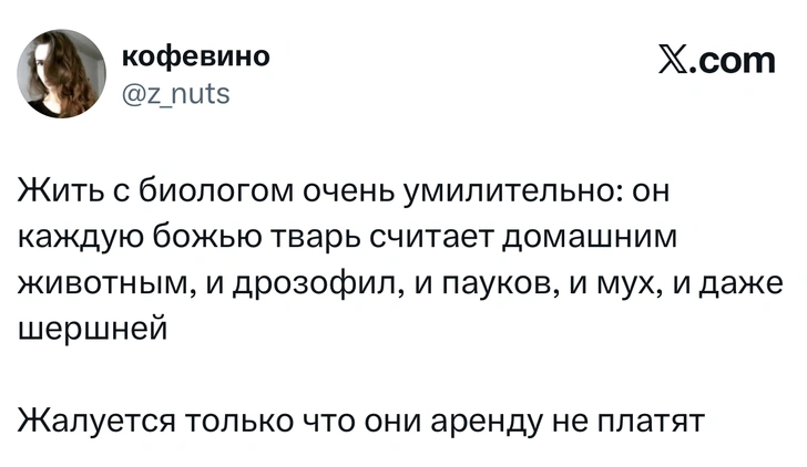 Источник: X (Twitter)
