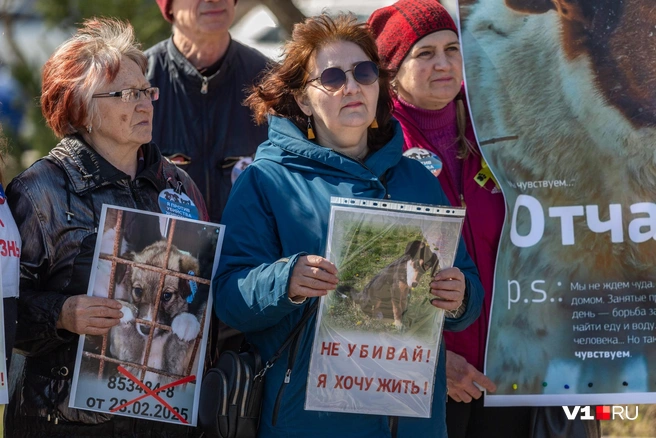 Основными участниками митинга были пожилые женщины | Источник: Константин Завриков / V1.RU