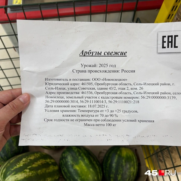 Источник: Кирилл Митин