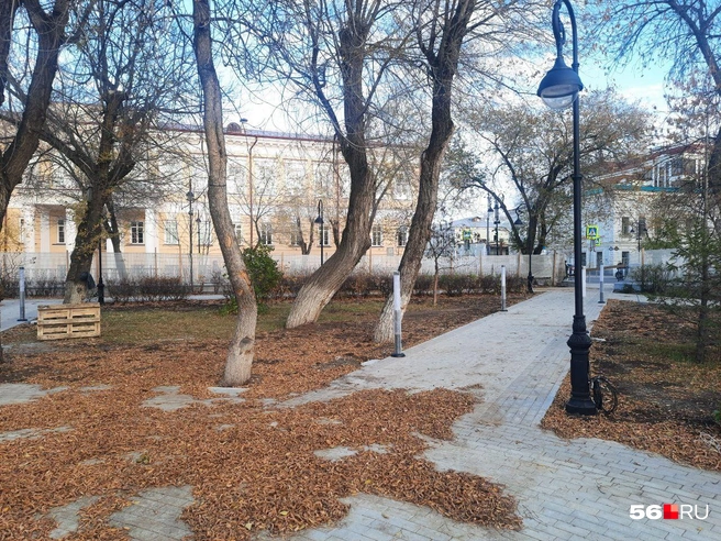 Источник: Анастасия Баринова / 56.RU
