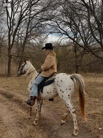 От падела до конного спорта: как хобби заменяют аксессуары в 2026 От падела до конного спорта: как хобби заменяют аксессуары в 2026