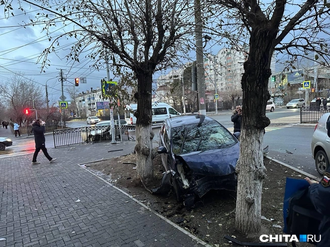 Слетела с дороги и расхлесталась о дерево. ДТП произошло в центре Читы | Источник: Виктория Тонких / CHITA.RU