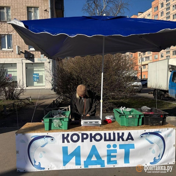 На углу проспекта Металлистов и Пискаревского | Источник: Дарья Драй / «Фонтанка.ру»