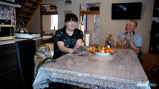 Евгений и Наталья Кагармановы работают в цирке уже 30 лет | Источник: Антон Дигаев / NGS.RU