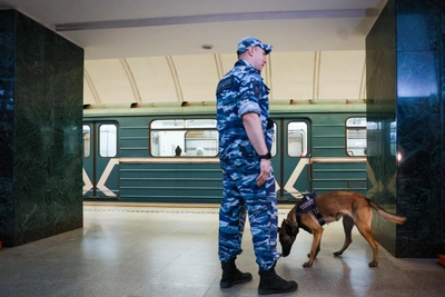 Директор «Крошки-картошки» избил пассажирку в московском метро