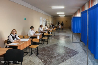 Мельниченко проголосовал на выборах в Пензенской области
