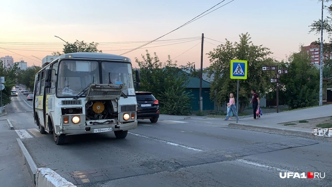 Уфимцы дуреют с этой прикормки | Источник: Андрей Бирюков / UFA1.RU