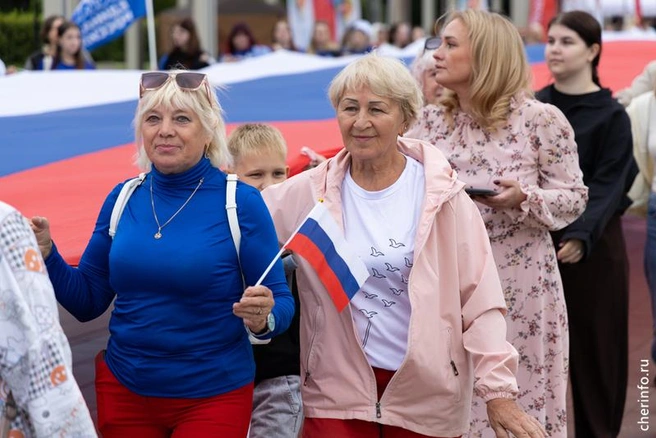 Источник: st.cherinfo.ru