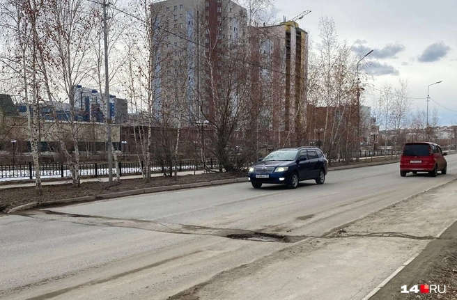 Вот такое безобразие портит вид | Источник: Надежда Ефимова / 14.RU