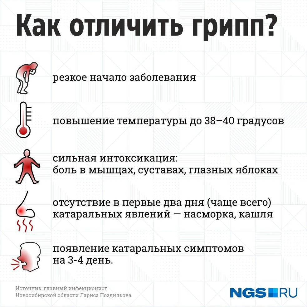 Где купить амоксициллин, Панадол, Нурофен детский в Новосибирске декабрь  2022 года - 29 декабря 2022 - НГС.ру