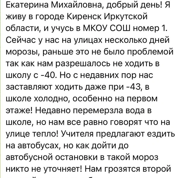 Источник: Екатерина Мизулина / T.me