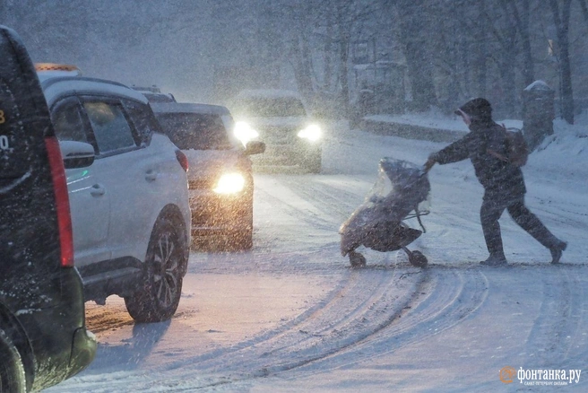 Источник: Михаил Огнев / FONTANKA.RU