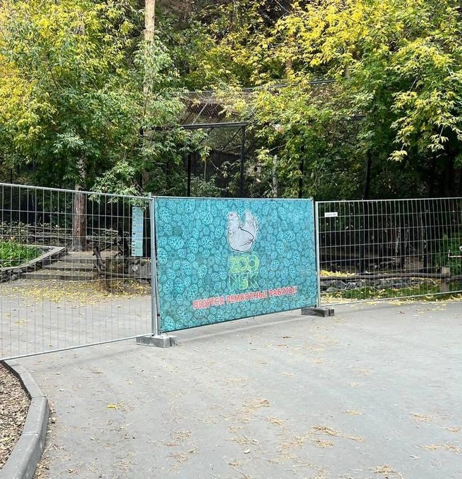 Источник: Анастасия Медведева / NGS.RU