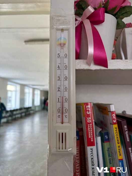 Сложно представить, как при +15 градусах можно получать новые знания | Источник: читатели V1.RU