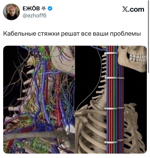 Источник: X (Twitter)