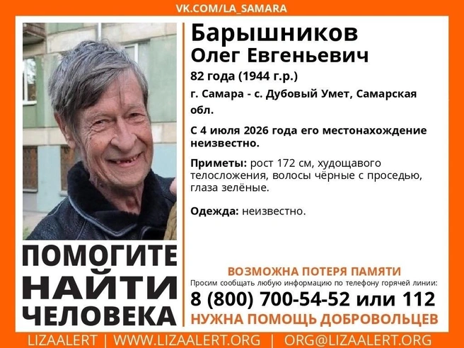 Источник: Поисковый отряд «ЛизаАлерт»