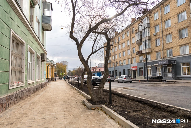 Надеемся, что здесь корни у дерева остались целы | Источник: Мария Ленц / NGS24.RU