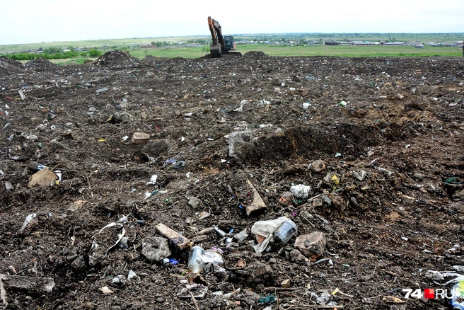 Редакция 74.RU выезжала на места таких свалок: там мусор не вывозили, а смешивали с землей и зарывали на месте | Источник: Артем Краснов