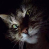 userpic__Woops