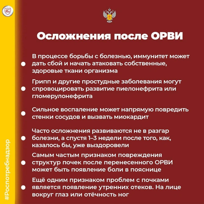 Чем опасны осложнения ОРВИ | Источник: Роспотребнадзор по Ярославской области / Telegram