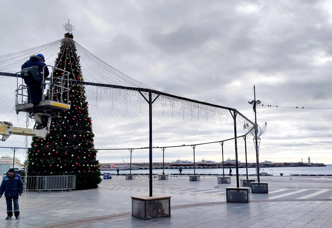 Хоть на улице 10 градусов тепла и никакого намека на снег, елку на Набережной Ялты наряжают по расписанию | Источник: Александра Сотникова / MSK1.RU