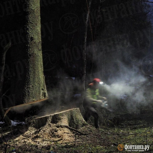 Источник: Михаил Огнев / FONTANKA.RU