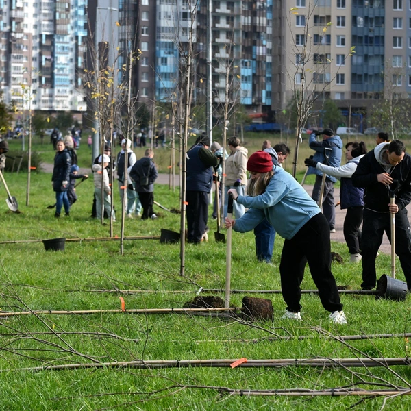 Источник: ООО «Сэтл Групп»