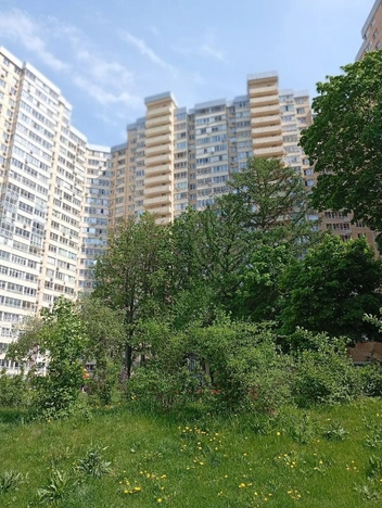 Деревья во дворе уже взрослые. Здесь комфортно гулять в любую погоду | Источник: AFI Development