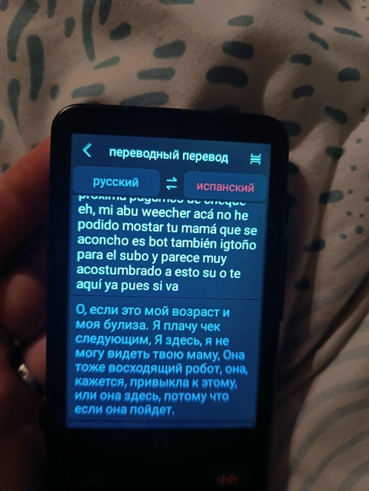 Тот самый переводчик, который «подставил». Карина не знала, что оплата не прошла. Она пыталась объяснить охраннику, что ни в чем не виновата | Источник: из архива Карины Березовской