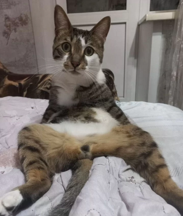 Источник: сервис для подачи объявления