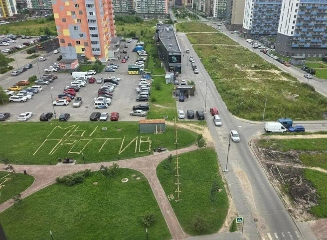 Надпись, которую горожане выложили на зеленом участке из строительного забора | Источник: читатель «Фонтанки»