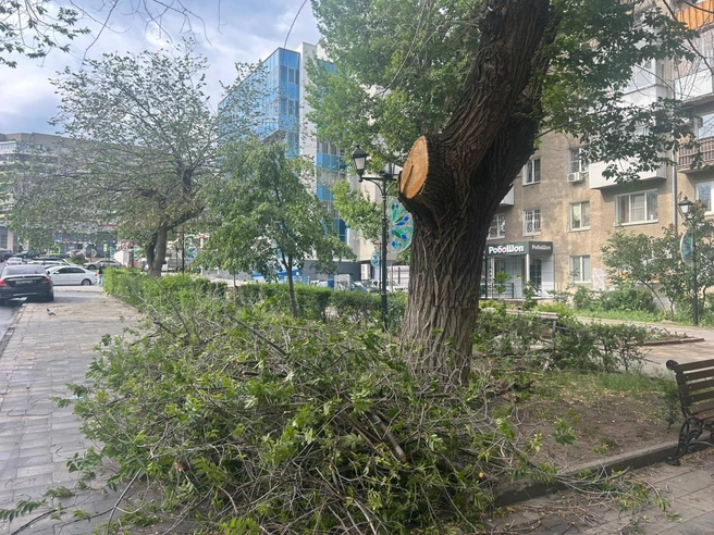 Источник: СУ СК по Саратовской области