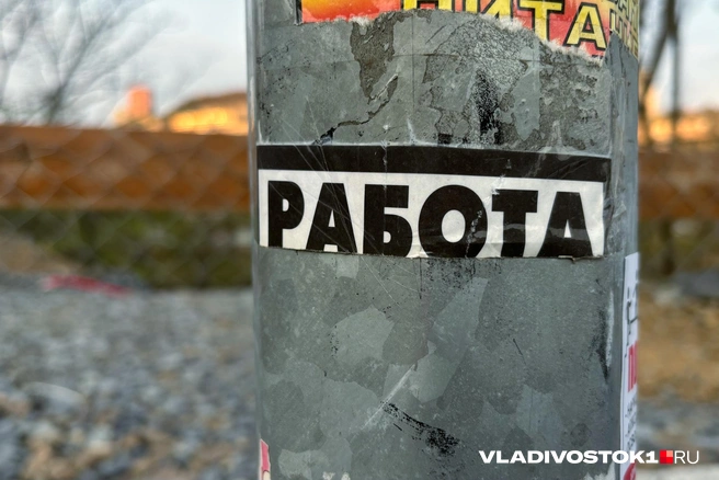 Молодежь без опыта подорожала на рынке труда | Источник: Елена Буйвол / VLADIVOSTOK1.RU