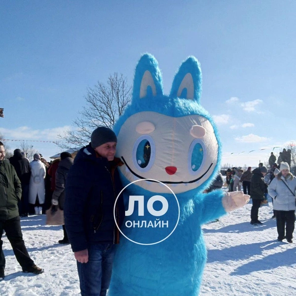 Источник: ЛО Онлайн / Telegram
