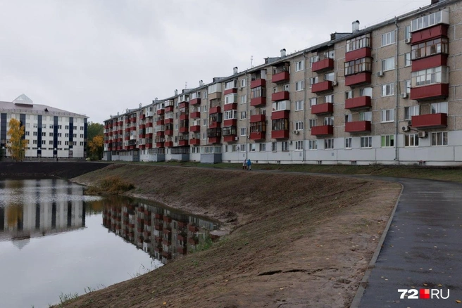 Утиный пруд стал выглядеть сиротливо, и дело вовсе не в новом времени года | Источник: Ирина Шарова / 72.RU