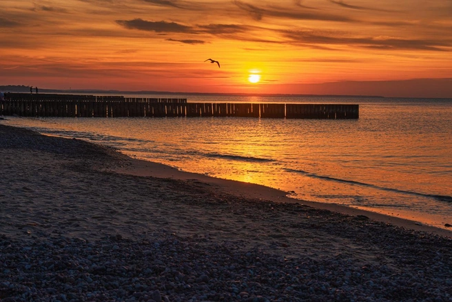 Летом в Калининградской области можно купаться | Источник: Elena Odareeva / iStock