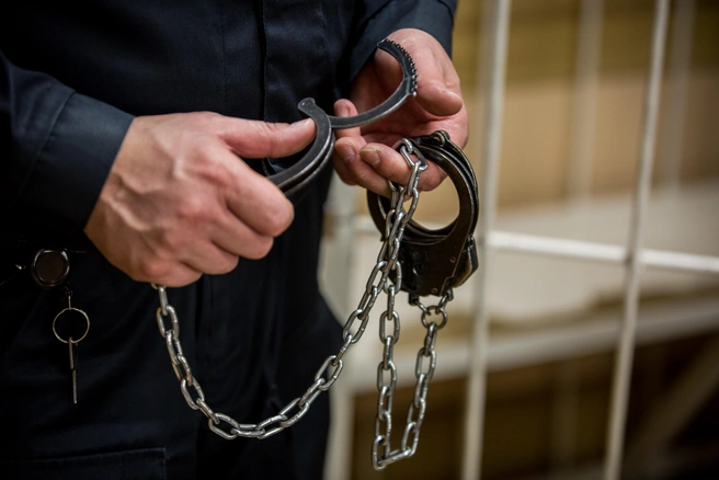 В Петербурге арестованной за педофилию семейной паре добавили детскую порнографию | Источник: Александр Ощепков / NGS.RU