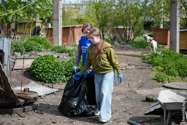 Источник: st.cherinfo.ru