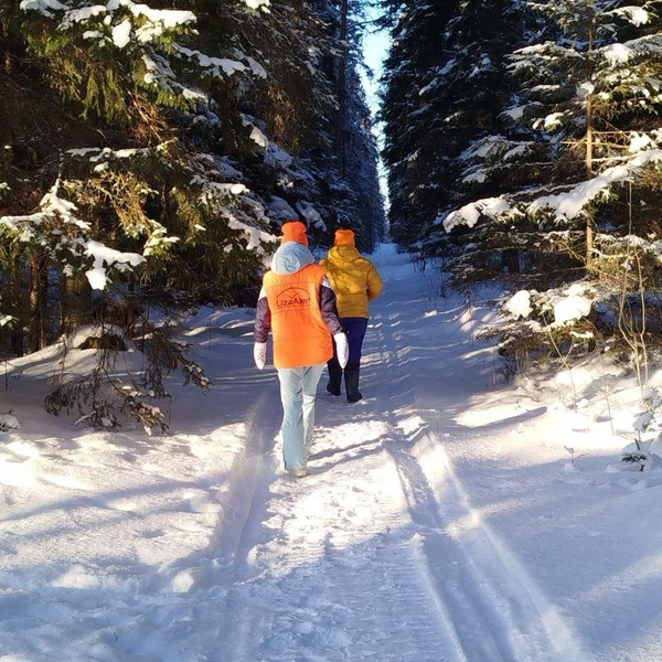 Источник: Поисковый отряд «ЛизаАлерт» Республики Карелия