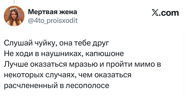 Источник: X (Twitter)