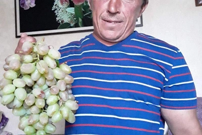 В Волгограде нашли мумифицированное тело пропавшего пациента