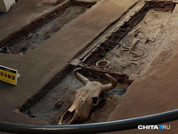 Источник: Тамара Ван-Фу-Ли / CHITA.RU